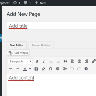 Add a New Page in WordPress